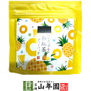 【国産紅茶】パイナップルの和紅茶 10g(2g×5パック) 送料無料 静岡県産紅茶 パイナップルティ 国産紅茶 日本茶 パイナップル ティーバッグ 紅茶 ティー...
