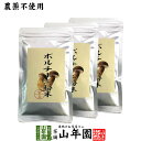【本場イタリア産無農薬100%】 ポルチーニ茸の粉末 40g×3袋セット 無農薬で栽培されたポルチーニ茸を温風乾燥させて粉末に 健康 送料無料 緑茶 ダイエット...