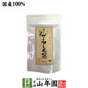 【国産】プーアル茶 48g(4g×12)純国産 静岡県産緑茶を糀菌で後発酵 重合カテキン 没食子酸 健康 送料無料 国産 緑茶 お中元 御中元 ギフト プレゼン...