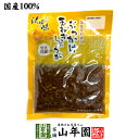 【国産原料使用】沢田の味 ぶっかけ玉ねぎしょうが 80g 送料無料 自然と健康の郷 群馬県吾妻郡産 健康 ダイエット ギフト プレゼント 母の日父の日 プチギフ...