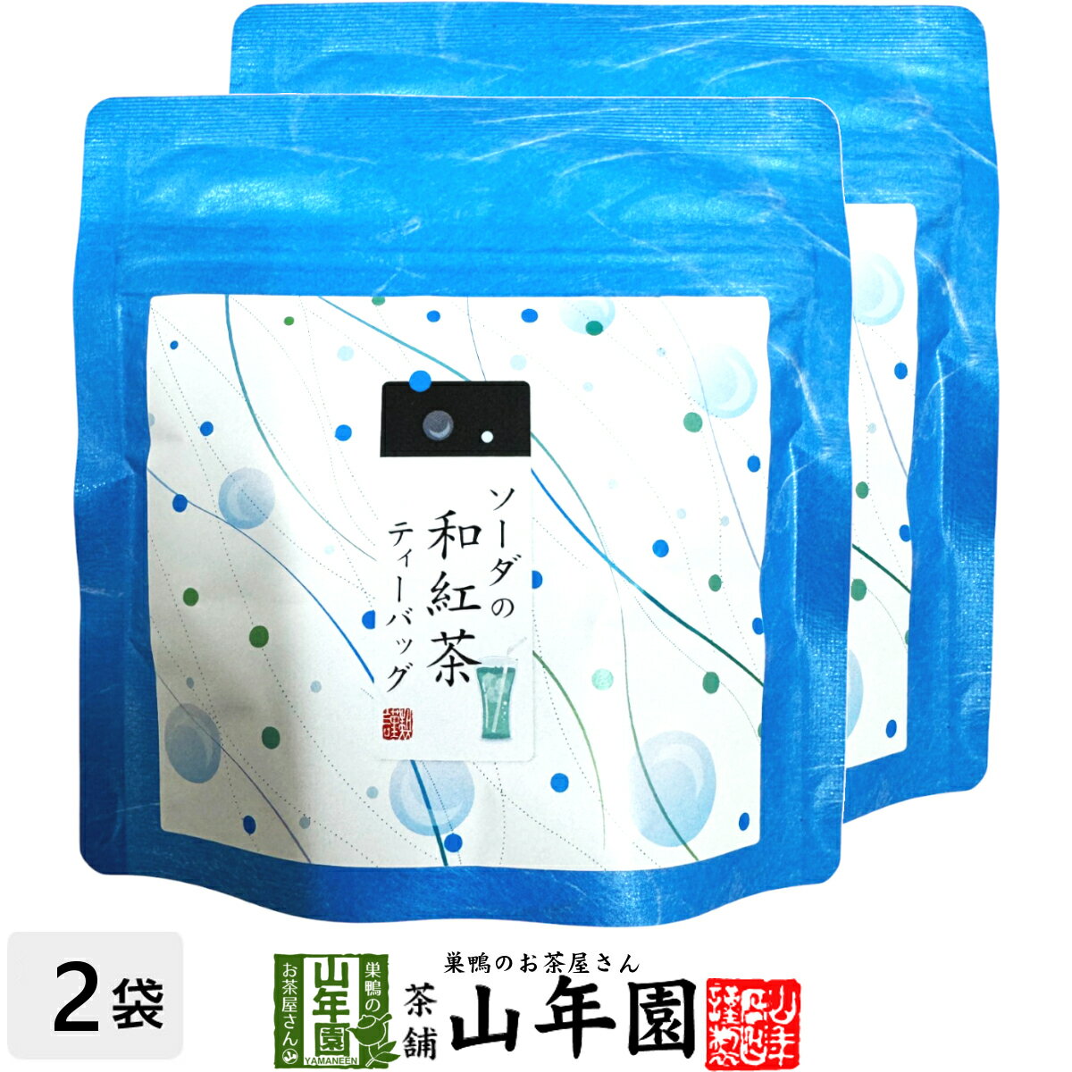 【国産紅茶】ソーダの和紅茶 10g(2g×5パック)×2袋セット 送料無料 静岡県産紅茶 ソーダティ 国産紅茶 日本茶 ソーダティーバッグ 紅茶 ティーパック ダイエット ギフト プレゼント 内祝い お返し お歳暮 御歳暮 プチギフト 2025 お茶 男性 女性 お祝い