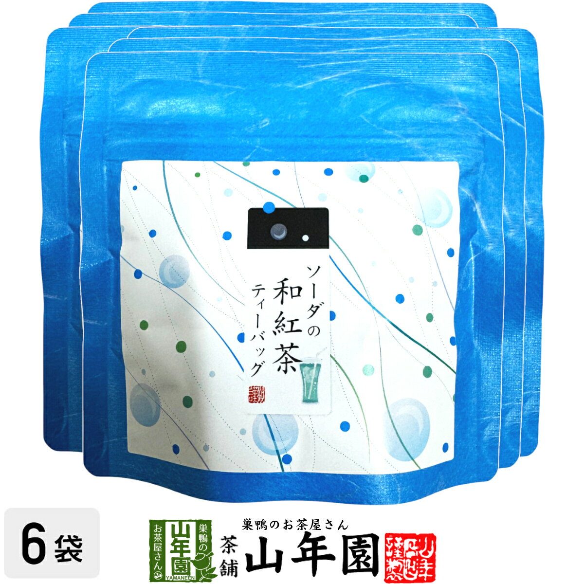 【国産紅茶】ソーダの和紅茶 10g(2g×5パック)×6袋セット 送料無料 静岡県産紅茶 ソーダティ 国産紅茶 日本茶 ソーダティーバッグ 紅茶 ティーパック ダイエット ギフト プレゼント 内祝い お返し お歳暮 御歳暮 プチギフト 2025 お茶 男性 女性 お祝い
