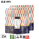 【国産100%】高知しょうがの和紅茶 2g×5パック×2袋セット送料無料 静岡県産紅茶 高知県産しょうが 国産 生姜 日本茶 ショウガ ティーバッグ 紅茶 ティ...