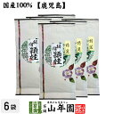 日本茶 お茶 茶葉 特選指宿頴娃 100g×6袋 健康 送料無料 国産 緑茶 ダイエット ギフト プレゼント 敬老の日 プチギフト お茶 内祝い 2023 還暦祝い 男性 女性 父 母 贈り物 香典返し 挨拶品 お土産 おみやげ お祝い 誕生日 祖父 祖母 お礼 夫婦