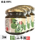 【国産】うめジャム 140g×3個セット沢田の味 群馬県 あがつま農協 群馬県吾妻郡産原料使用 送料無料 母の日父の日 プチギフト お茶 2025 ギフト プレ...