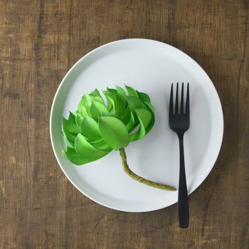 ץå ۥ磻 22cm[ȥå]  ǻ ο ݻ ݥץ졼 B B 