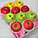 季節のりんご詰め合わせ 送料無料 のし対応 リンゴ好き プレ