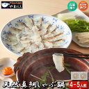 ギフト 贈答用 鯛しゃぶしゃぶ200g 4-5人前 鯛しゃぶ鍋 鯛しゃぶしゃぶ鍋 しゃぶしゃぶ用 鍋 お鍋 鍋パーティー 鍋パ お取り寄せ お取り寄せグルメ 大...