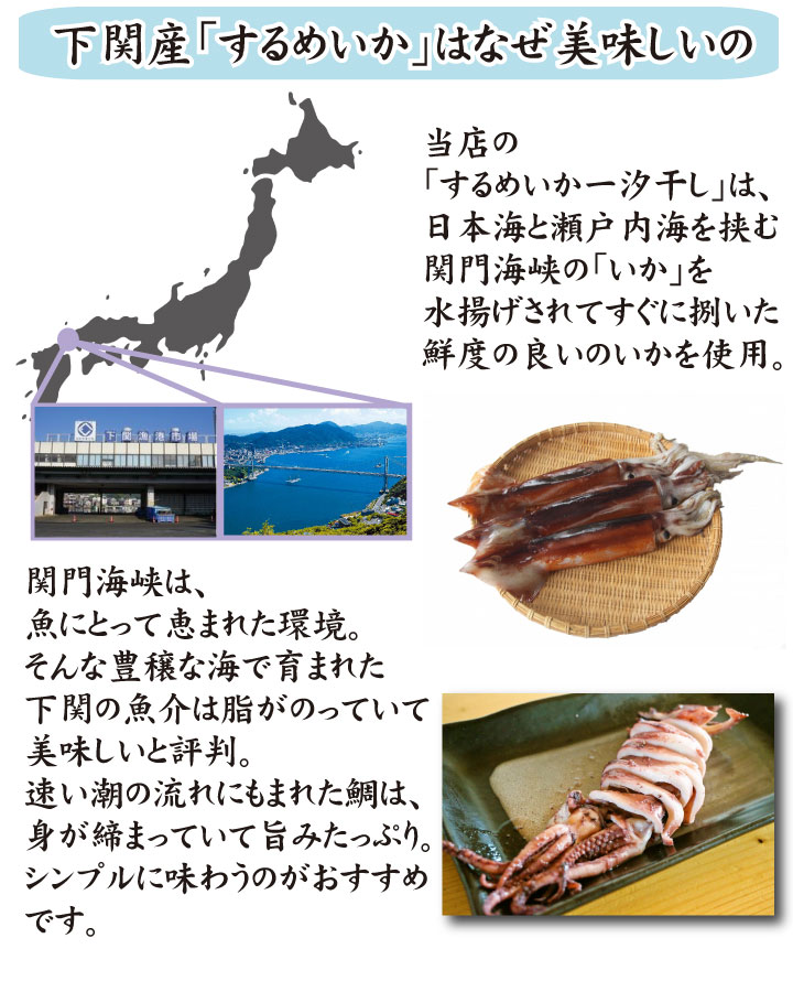 下関産プレミア一汐干しセット(備蓄 国産 干物 セット 高級魚 いか 干物 一夜干し 開き 旬干し 真いか スルメイカ 烏賊 笹かれい かれい レンコ鯛 蓮子鯛 お歳暮 お中元 ギフト おせち おせち料理 お正月 魚 魚料理 焼き魚 和食 母の日 父の日 グルメ ギフト食べ物）