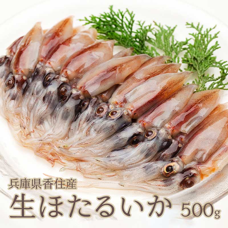 [冷凍][ホタルイカ500g]ランキング常連品！ほたるいか の旬のおいしさそのまま急速冷凍！香住産 ほたるいか （ホタルイカ）500g！