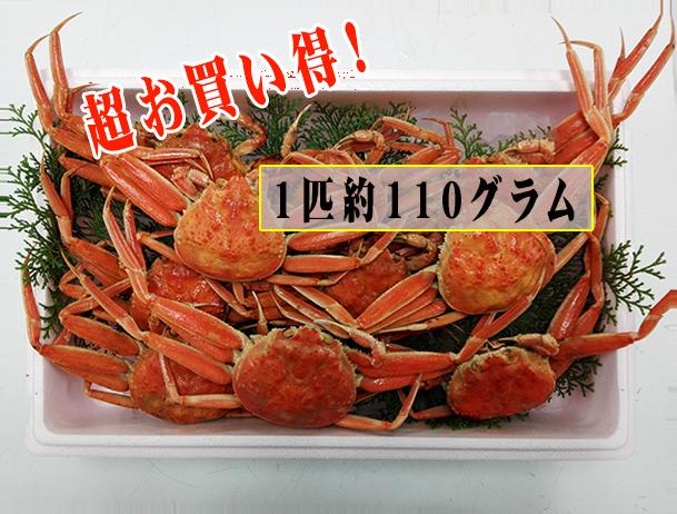 [冷凍]香住のセイコガニ　小サイズ10匹分（約1.1kg）[