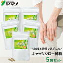 【まとめ買い】ヤマノ キャッツクロー 純粋 MSM配合 キャッツクロー サプリメント 60カプセル入り 5袋 約5ヶ月分 送料無料
