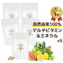 【まとめ買い】オールナチュラル 天然 マルチビタミン&ミネラル サプリメント 60カプセル入り 5袋セット 送料無料