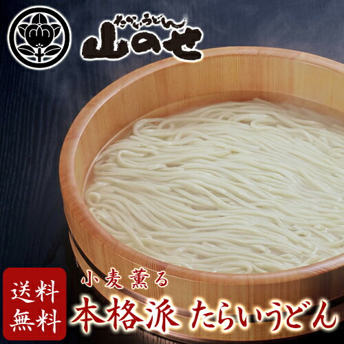 うどん（お中元向き） 【本場徳島・本格派】たらいうどん　つゆ付き（5食）　半生麺/釜揚げ/贈答/ギフト/お中元/お歳暮/夏ギフト/敬老の日/マラソン/化粧箱/年越し/無添加/厳選素材/だし/送料無料