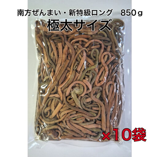 ぜんまい水煮 超 極太 太い 送料無料 850g 850g×10袋 山菜水煮 煮物 炒め物 和え物 ナムル ビビンバ 和食 韓国料理 焼肉屋 焼肉 店舗 お店 具 材 ミズ 鶴橋 新大久保 ぜんまい水煮 超 極太 太い 送料無料 850g 850g×10袋 山菜水煮 煮物 炒め物 和え物 ナムル ビビンバ 和食 韓国料理 焼肉屋 焼肉 店舗 お店 具 材 ミズ 鶴橋 新大久保