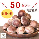 農家直送・安心安全椎茸 小中50個入り 農家直送 ...