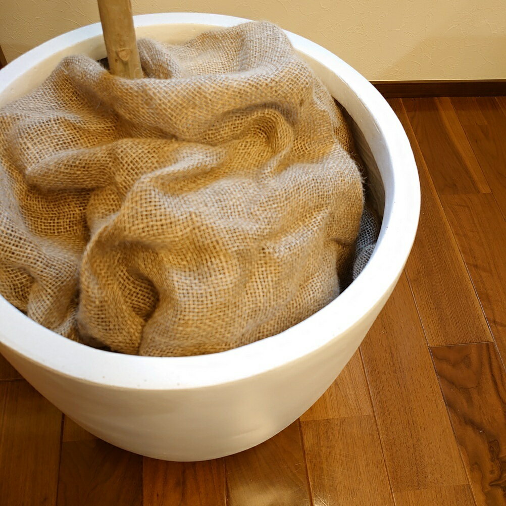 ���տ�ʪ���ڱ�����������졡���襤��������ƥꥢ���������ᡡ�͵����ܱ��������ۡ��㡡����ȭ���ץ�󥿡��������̤�