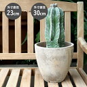 テラコッタ 植木鉢【ルーガ アンティコ エッグ 】安い 鉢 通販 おしゃれ テラコッタ かわいい アンティーク おしゃれ 人気 観葉植物