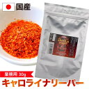 【有吉ゼミで紹介！】【ポイント20倍】キャロライナリーパー 業務用 超激辛 粉末 30g 一味唐辛子 香辛料 大容量 スパイス粉末 国産 瓶 調味料 とうがらし トウガラシ ハバネロ カロライナリーパー 国産 激辛 世界一 辛い 一味 スコヴィル