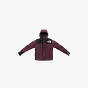 【キーホルダー】THE NORTH FACE F24 ザ・ノースフェイス ミニマウンテンジャケット Mini Moutain Jacket アルパインプラム N...