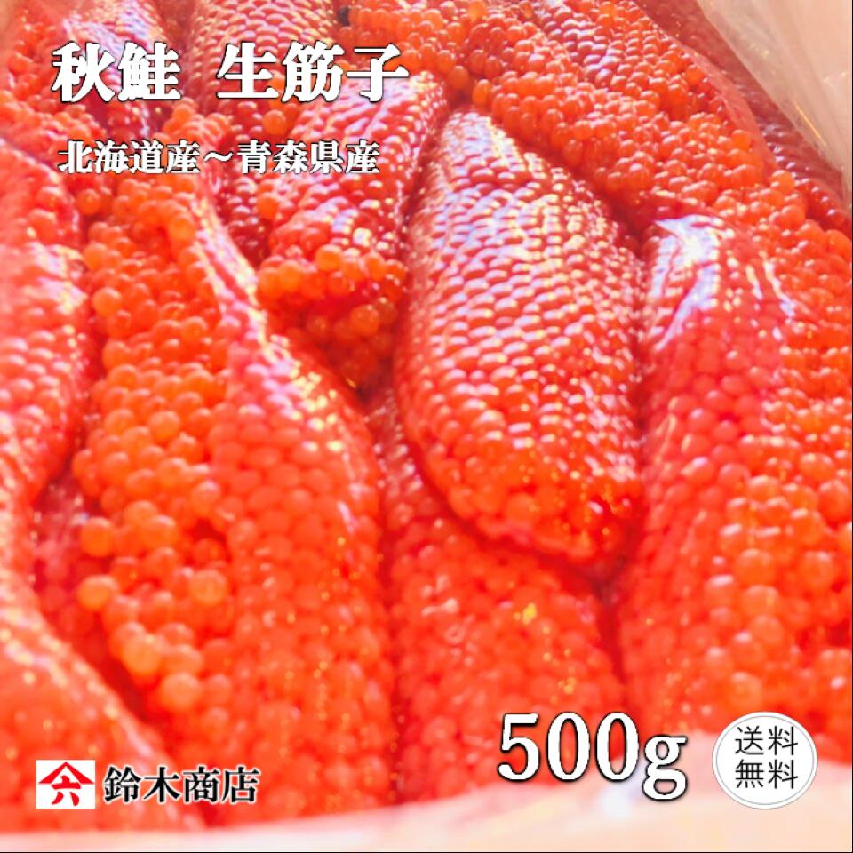 送料無料 秋の味覚 秋鮭 生筋子 500g ほぐしてお好みの漬けダレで醤油イクラ作りにチャレンジ 至福の秋の味覚を堪能して下さい 生いくら 生筋子 はらこ いくら 筋子 季節限定 北海道 国産