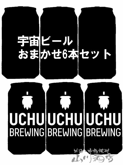 当店厳選！うちゅうビール おまかせ 350ml×6本セット / 山梨県 うちゅうブルーイング