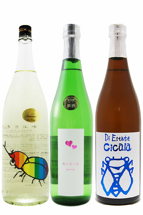 越の寒中梅 一閃辛口 純米吟醸 720ml 新潟銘醸 新潟 日本酒 お酒 ギフト プレゼント 贈り物 お中元 お歳暮 誕生日 御祝 内祝 御礼 プレゼント 父の日 母の日