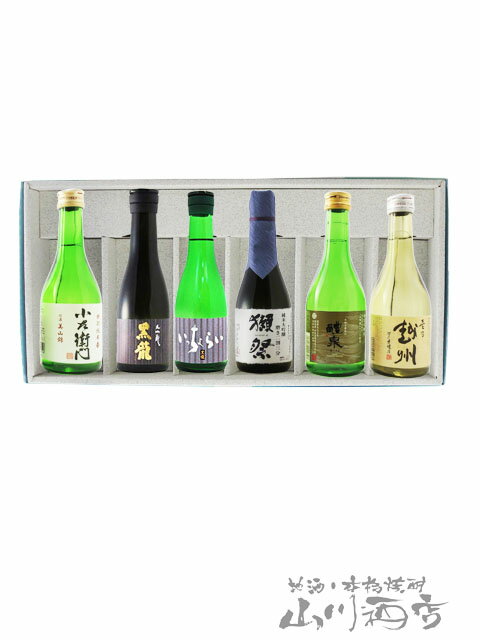 銘酒飲み比べセット 300ml×6本セット【 6043 】【