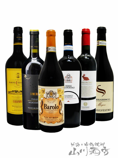 安い購入 厳選イタリア赤ワインセット 750ml 6本 4855 イタリア赤ワイン 6本セット 贈り物 ギフト プレゼント 酒の番人 ヤマカワ Www Enzahome Al