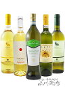厳選イタリア白ワインセット ( 750ml×5本 ) 【 4853 】【 イタリア白ワイン 】【 送料無料 】【 お中元 贈り物 ギフト プレゼント 】