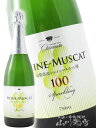 シャインマスカット100 スパークリング(シャンモリ) 750ml/ 山梨県 盛田甲州ワイナリー【 8362 】【 日本白ワイン 】【 お中元 贈り物 ギフト プレゼント 】