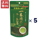 伊藤園 一番摘みのおーいお茶 1000 ゆたかみどりブレンド 機能性表示食品(100g)5個セット