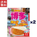 1,000円ポッキリ ハチ食品 るるぶ×Hachiコラボカレーシリーズ 博多 明太子チーズカレー 中辛(180g)×2個セット