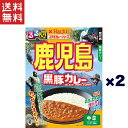 1 000円ポッキリ ハチ食品 るるぶ Hachiコラボカレーシリーズ 鹿児島 黒豚カレー 中辛 180g 2個セット