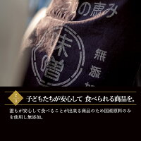【送料無料】注文を受けてから袋詰め致します蔵出し生みそ800g完全無添加蔵出直送天然醸造生糀仕込み米糀多め国産原料自然塩塩分控えめ甘み旨味芳醇熟成みそ生麹仕込100%生麹発酵続ける発酵止め不使用生こうじ天然水仕込味噌生みそ
