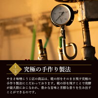 【送料無料】注文を受けてから袋詰め致します蔵出し生みそ800g完全無添加蔵出直送天然醸造生糀仕込み米糀多め国産原料自然塩塩分控えめ甘み旨味芳醇熟成みそ生麹仕込100%生麹発酵続ける発酵止め不使用生こうじ天然水仕込味噌生みそ