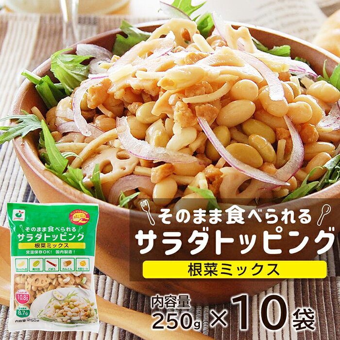 楽天うまみ丸ごと屋【送料無料】「サラダトッピング 根菜ミックス250g」×10袋セット【業務用 大袋タイプ 徳用 そのまま使える サラダ トッピング　多品目　デリサラ　5素材ミックス　白いんげん豆　青大豆　ごぼう　れんこん　大豆ミート　大皿料理 スープ オムレツに　カフェ、個人飲食店】