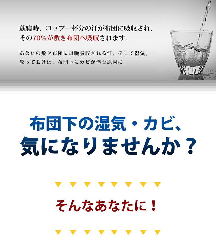 【送料無料】 ダニゼロック エアーパッド ダブルサイズ 140×198cm ダニ対策 折りたたみ 折り畳み 軽量 軽い 洗える アレルギー アトピー 花粉 ハウスダスト 赤ちゃん 湿気 カビ 通気性 すのこ スノコ 日本製 ヤマセイ [2]
