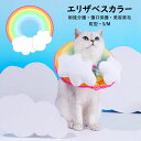 エリザベスカラー 軽量 猫 犬 ペット用回復襟 調整可能 柔らかい 虹型 浮き輪型 猫首輪 ソフト 保護首輪 軽量 ペット保護襟 ペット用品 簡単装着 犬猫適応...