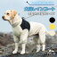 【15%OFFクーポン配布中!】犬 レインコート 中型犬 大型犬 犬用レインコート 犬用カッパ 犬レインコート カッパ 犬のレインコート 犬のカッパ ハイネックレインコート 3,889円