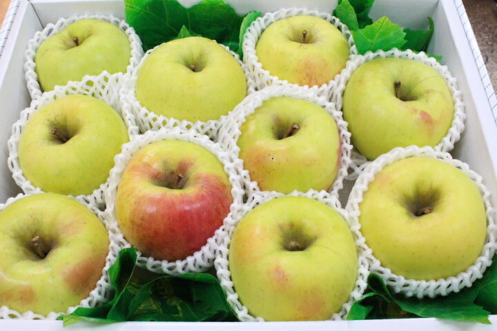 名月りんご10個入り送料無料