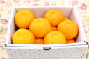 ハウスミカンはうすみかん12玉入り明日楽 明日らく あすらく(北海道、沖縄県は送料1000円追加させていただきます。)(4)