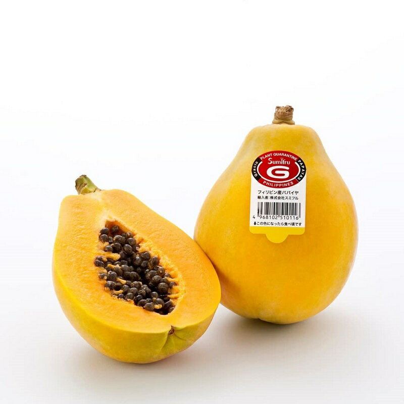 ѥѥ1Ĳʪե롼ġfruits