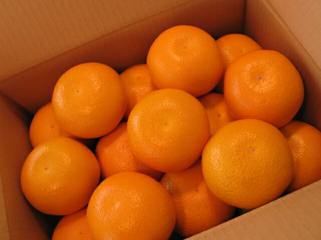 �Ϥä������1��