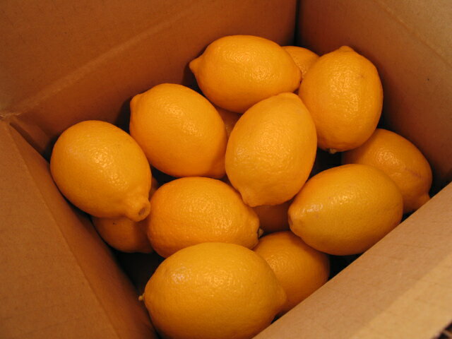 ����15�����ꤢ���ڡ������餯