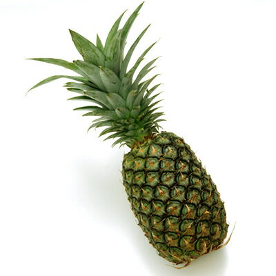 ������ǥ�ѥ��ʥåץ�1�ġڳڥ���_��������ۡڳڥ���_�Τ�����ۡڳڥ���_��å����ϡۤ�����