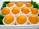 果汁たっぷりおいしいオレンジ10個入りアメリカ産1個約250グラム　涼しい所に保存してください。　賞味期間は約5日です。 ギ フト対応 　大好評果汁たっぷりおいしいオレンジ。アメリカより入荷いたしました。　10個入り　のし紙対応