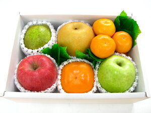 果物　お供え　お見舞い　お誕生日　あす楽　プレゼント　お供えフルーツセット水果 fruit果物　くだもの【あす楽_土曜営業】【あす楽_日曜営業】送料無料（北海道、沖縄県は送料1000円追加させていただきます。）