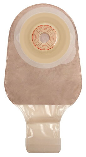 エスティーム やわらか凸シャロー Lサイズ 422363 1箱10枚 コンバテック