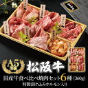 【お中元】松阪牛 国産牛 食べ比べ 特製漬け込みホルモン入り 焼肉セット6種 360g ギフト 贈り物 人気 高級 A5等級 紙箱 焼肉 牛肉 人気メニュー 熨斗対応可 国産和牛 山昇本店 内祝 御祝 お誕生日 出産祝 母の日 お中元 敬老の日 お歳暮 父の日